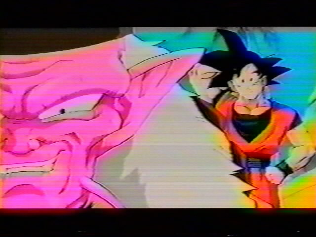 Dragonball Z Movie 13 (42).jpg